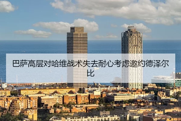 ba-sa-gao-ceng-dui-ha-wei-zhan-shu-shi-qu-nai-xin-kao-lv-yao-yue-de-ze-er-bi-2-305.jpg